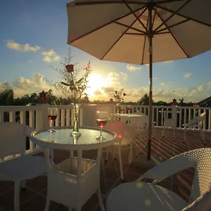 https://coconut-garden-homestay.hotelsofhoian.com